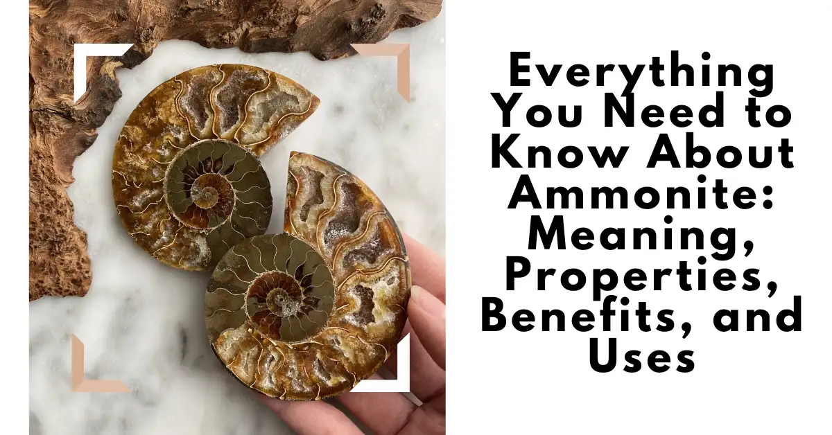 Ammonite popular Ancestral Pendant